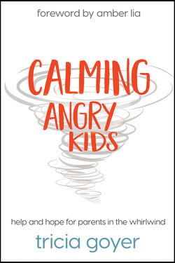 Calming Angry Kids: Help and Hope for Parents in the Whirlwind