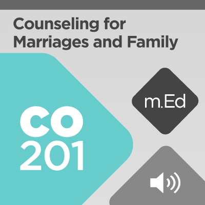 Mobile Ed: CO201 Counseling for Marriages and Family (5 hour course - audio)