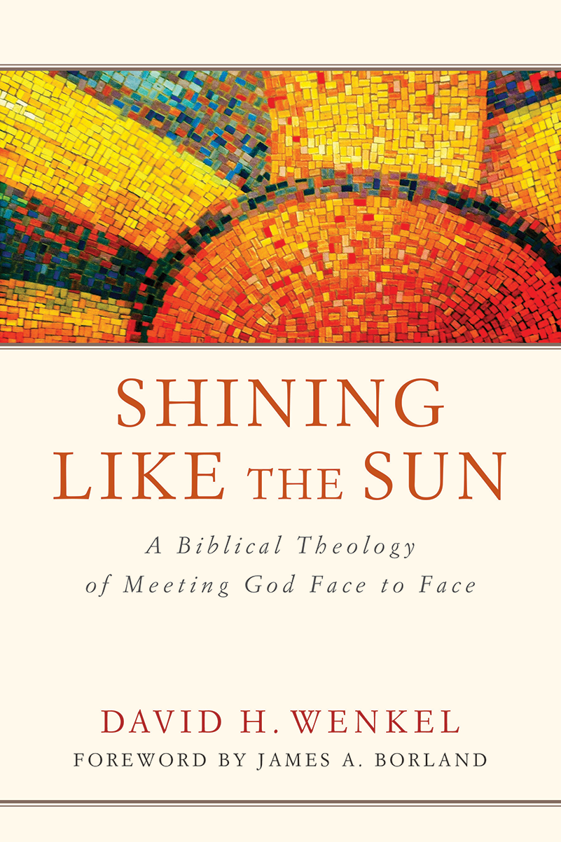 Shining Like the Sun: A Biblical Theology of Meeting God Face to Face