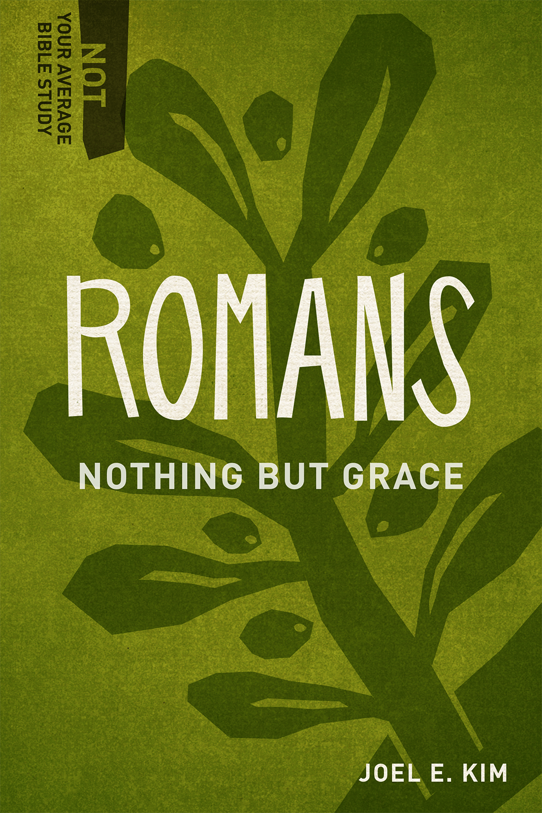 Romans: Nothing but Grace (Not Your Average Bible Study)