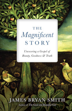 The Magnificent Story: Uncovering a Gospel of Beauty, Goodness, and Truth