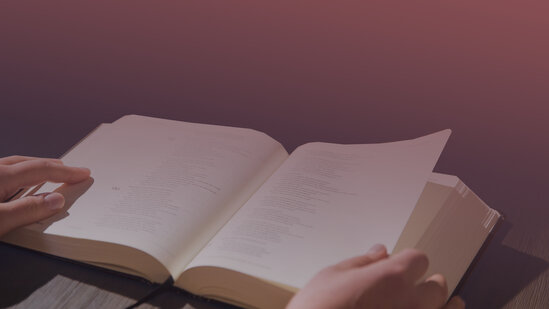 Bible Reading
