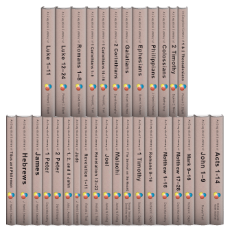 Exegetical Summaries Series (32 vols.)