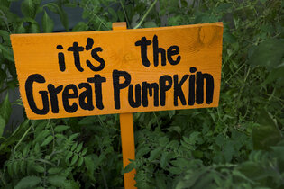 Great Pumpkin Sign