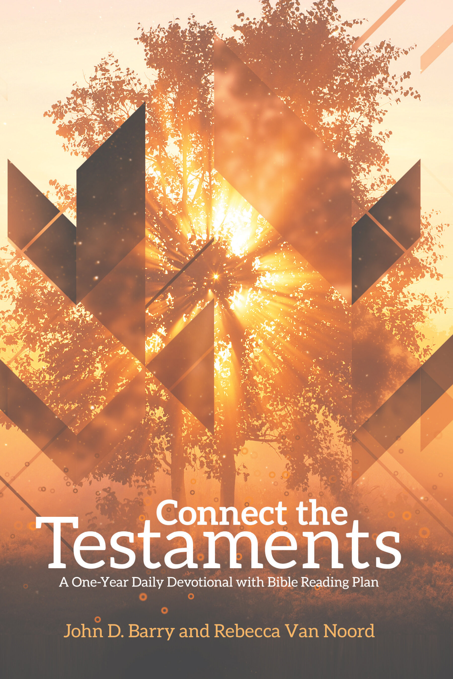 Connect the Testaments: A 365-Day Devotional with Bible Reading Plan