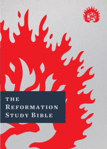 Reformation Study Bible (Bible and Notes)