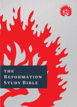Reformation Study Bible Notes (2015)