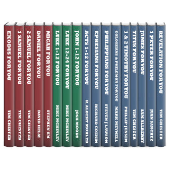 God’s Word for You Commentaries (17 vols.)