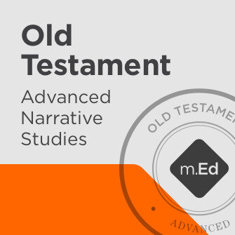 Old Testament: Advanced Narrative Studies Study Bundle