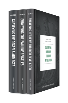 Learn the Word Bible Survey Series: New Testament (3 vols.)