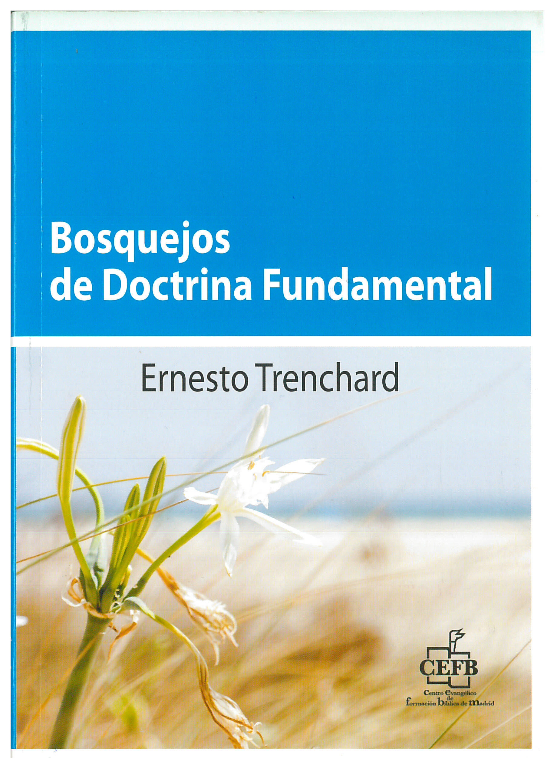 Bosquejos de doctrina fundamental