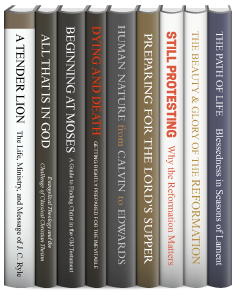 Reformation Heritage Reformed Theology Collection (9 vols.)