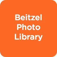 Beitzel Photo Library Media Collection