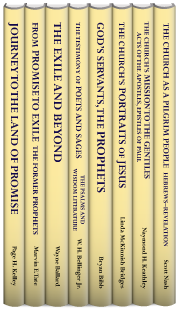 Smyth & Helwys All the Bible Series (8 vols.)