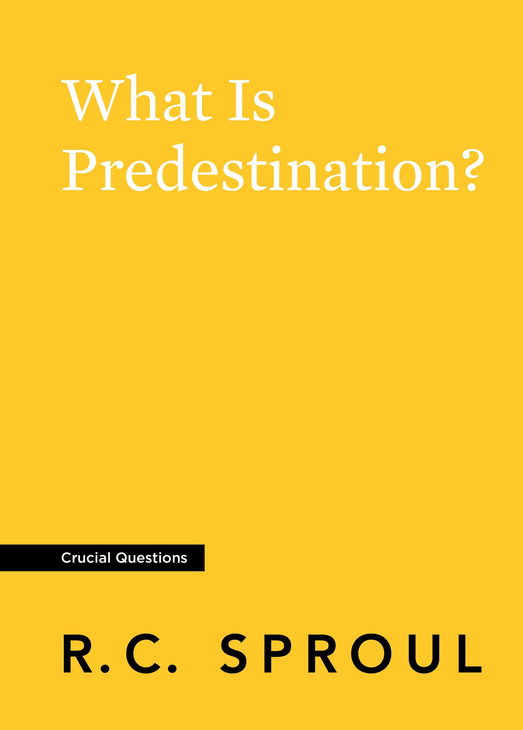What Is Predestination? (Crucial Questions)
