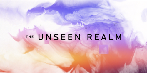 The Unseen Realm (Film)