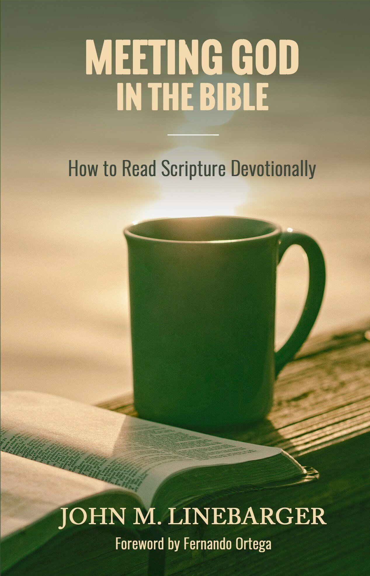 How To Read Scripture Catholic