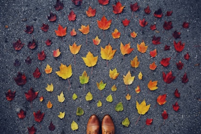 Beautiful arrangement of fall leaves and boots