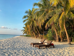 Lounge chairs on the beach at the W Hotel luxury resort in the Maldives during sunset. 