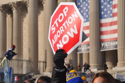 This was my favorite photo I got at the March for Life. I like how the single gloved hand stands out above the crowd, with the American flag blurred in the background.
