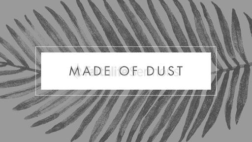 Made of Dust