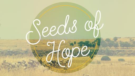 Seeds of Hope