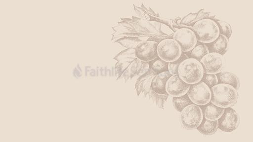 Communion Grapes