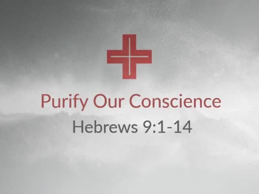Purify Our Conscience 