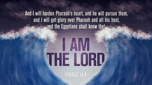 Exodus 14:4