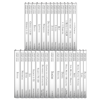 Comentario Antiguo Testamento Andamio (28 Vols.)