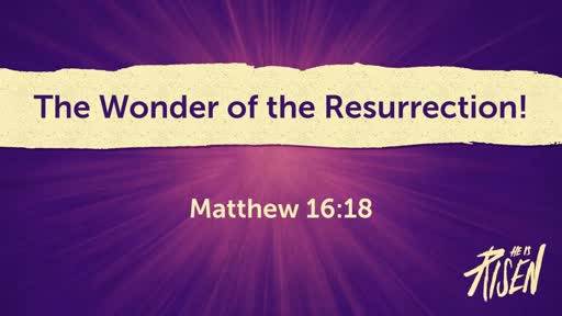 The Wonder of the Resurrection!