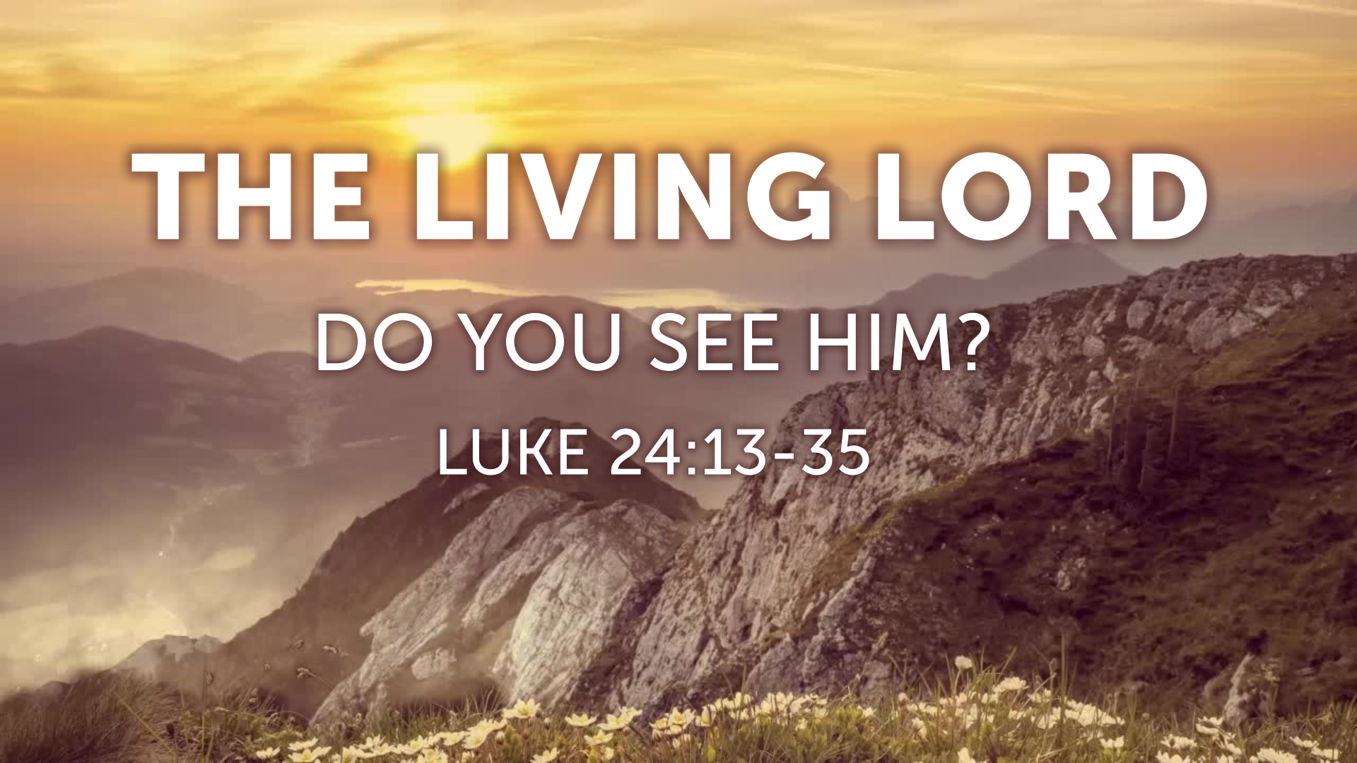 luke-24-13-35-the-living-lord-do-you-see-him-resurrection-sunday-2018-logos-sermons