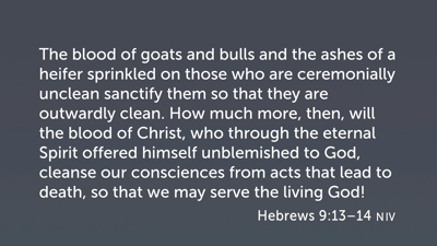 The “How Much More” of Jesus