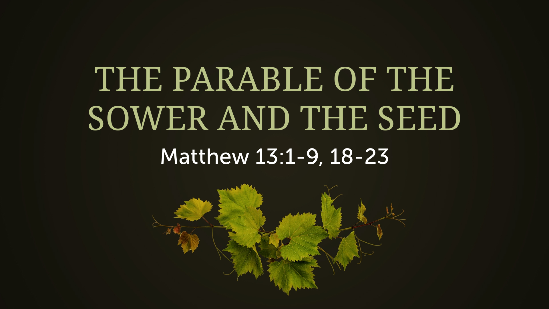 the-parable-of-the-sower-and-the-seed-logos-sermons