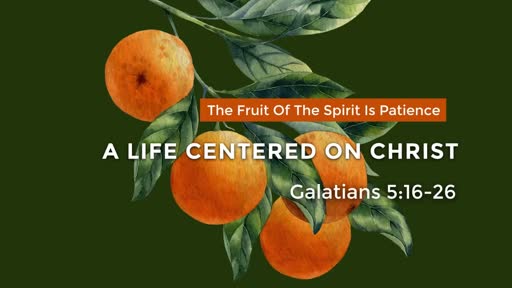 The Fruit of the Spirit is Patience