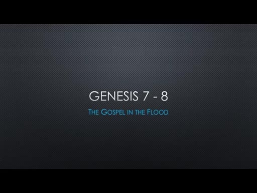 The Gospel in the Flood