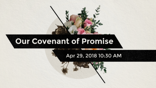 Our Covenant of Promise