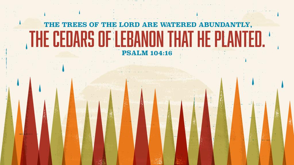 Psalm 104:16 large preview