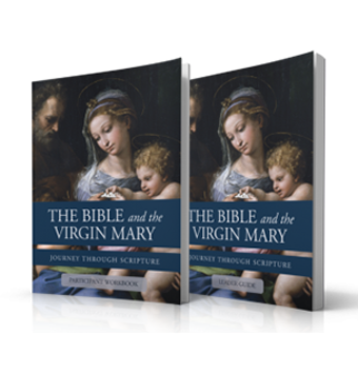 The Bible and the Virgin Mary: Small Group Curriculum