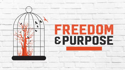 Freedom & Purpose