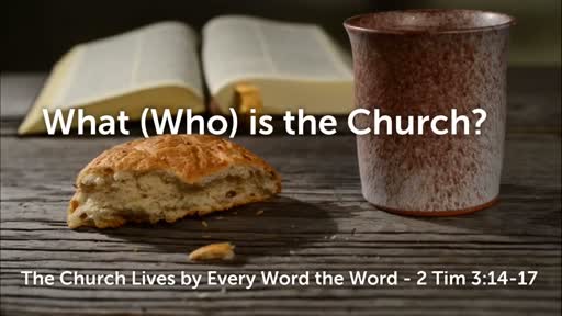 The Church Lives by Every Word of the Word