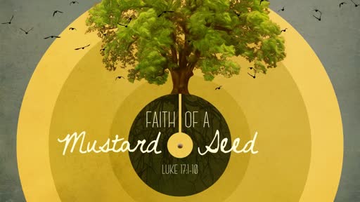 Faith of a Mustard Seed