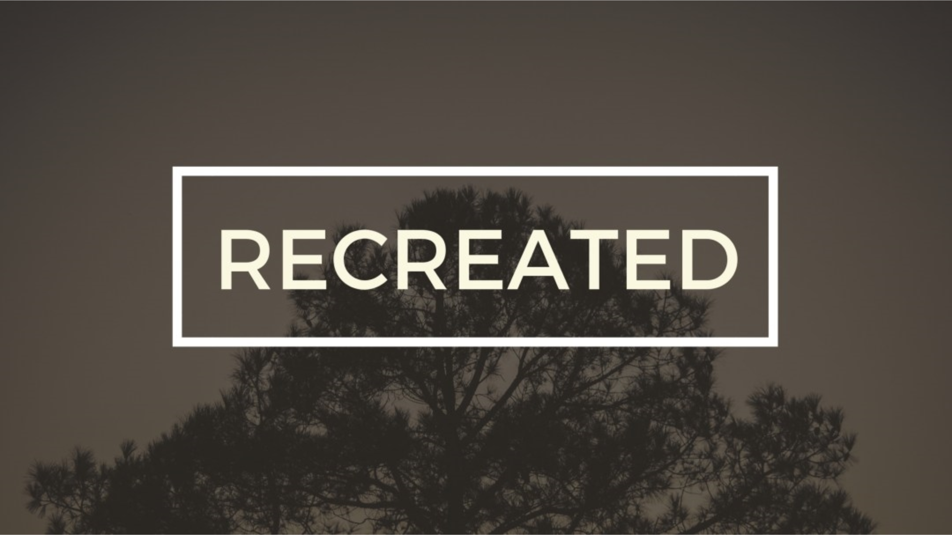 Session Two Logos Sermons