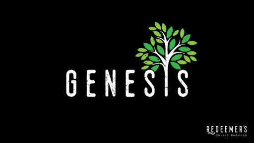 Genesis 37 - Where is God in my suffering?