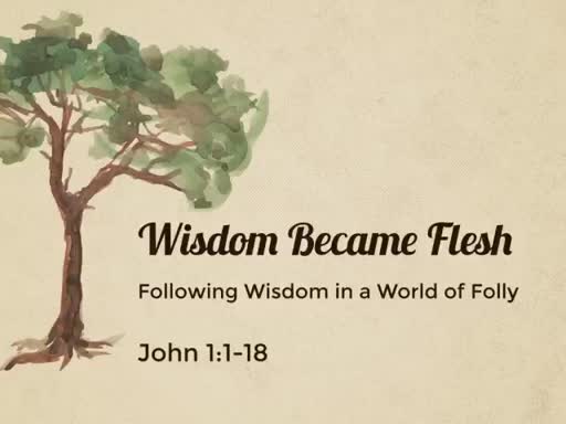 Following Wisdom in a World of Folly