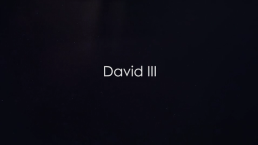 David 3