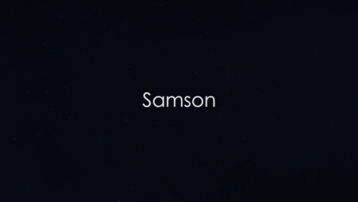 Samson