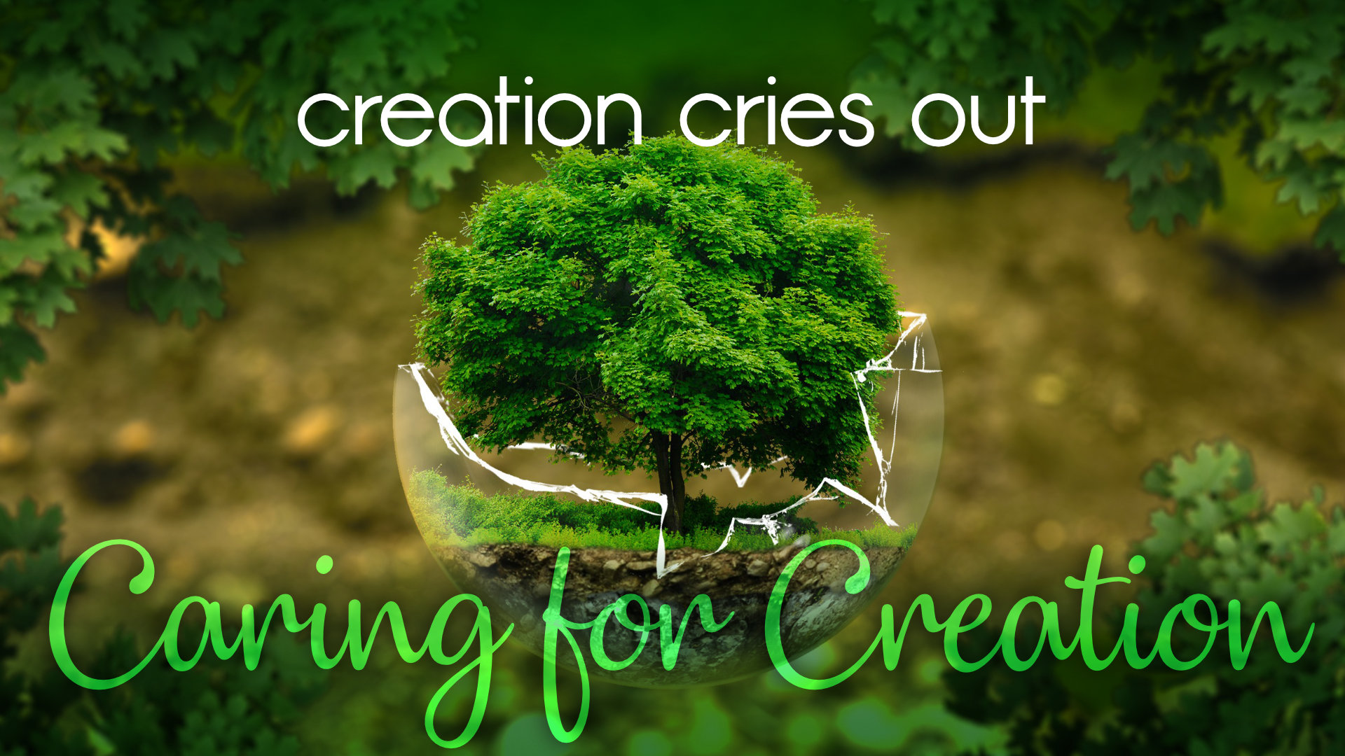 Creation Cries Out Logos Sermons