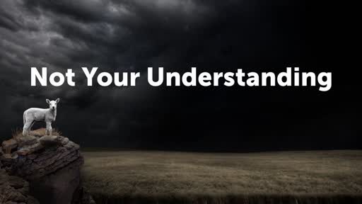 Not Your Understanding
