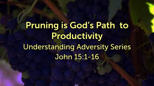 Pruning is God's Path to Productivity